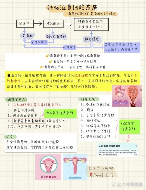 女学生鉴别学游戏介绍 轻松学会分辨不同类型的学生