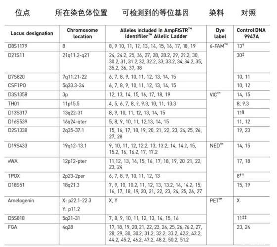 女学生鉴别学游戏攻略问答 常见问题解决方案