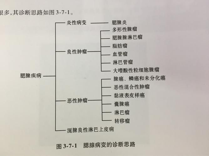 女学生鉴别学版本大全 专家教你如何准确鉴别身份