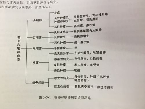 女学生鉴别学版本大全 专家教你如何准确鉴别身份