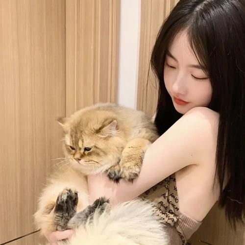 女孩收藏家最新版本是多少 现在更新到几了
