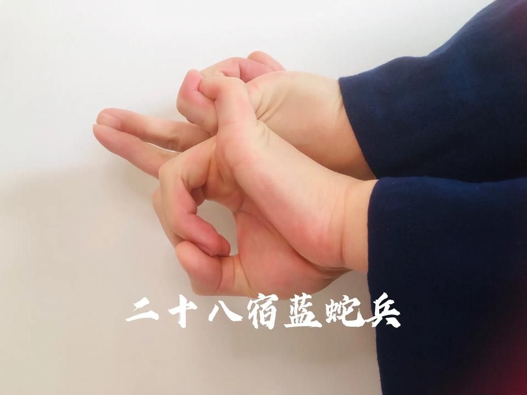 女孩收藏家杨过游戏怎么玩 快速上手指南来帮你