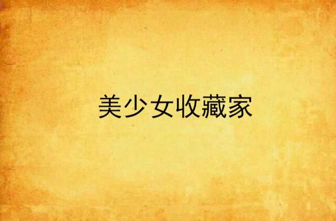 女孩收藏家汉化版下载 中文版游戏体验与评测
