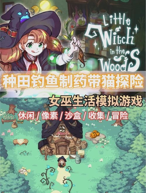 女巫训练师游戏攻略技能搭配心得