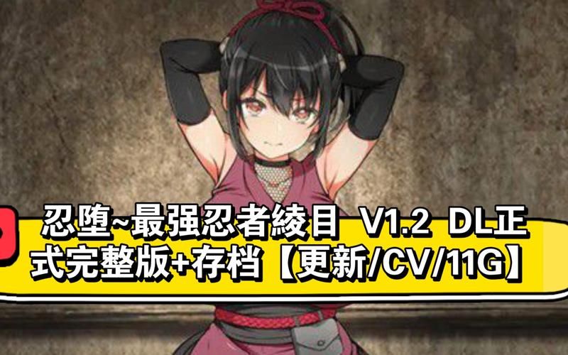 女忍条教安卓汉化版常见问题解决方法