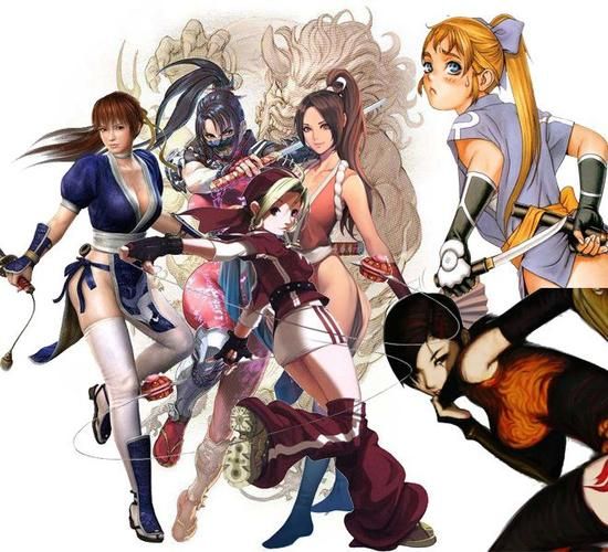 女忍条教官方网站有哪些内容 新手必看指南