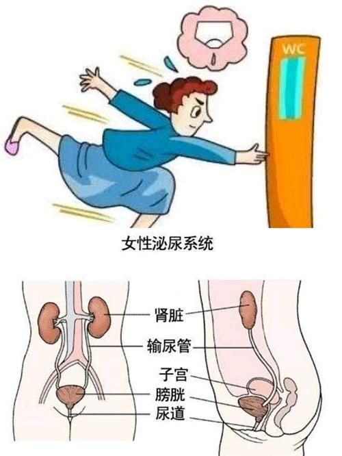 女性瘾者最新症状表现 如何判断自己是否患病
