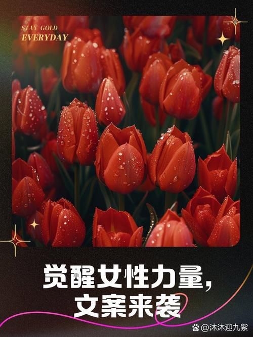 女性统治的未来官方网站揭秘新时代女性力量崛起