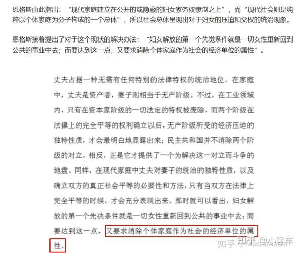 女性统治的未来游戏介绍 感受女性领导的全新玩法