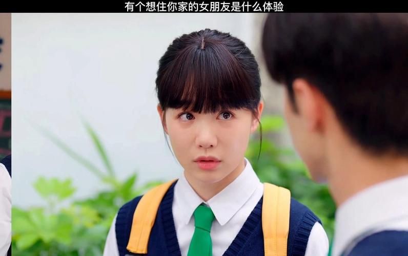 女朋友汉化版免费下载 中文完整版体验指南