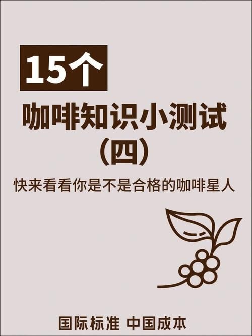 女牛仔咖啡馆最新版本是多少 快来了解新版功能