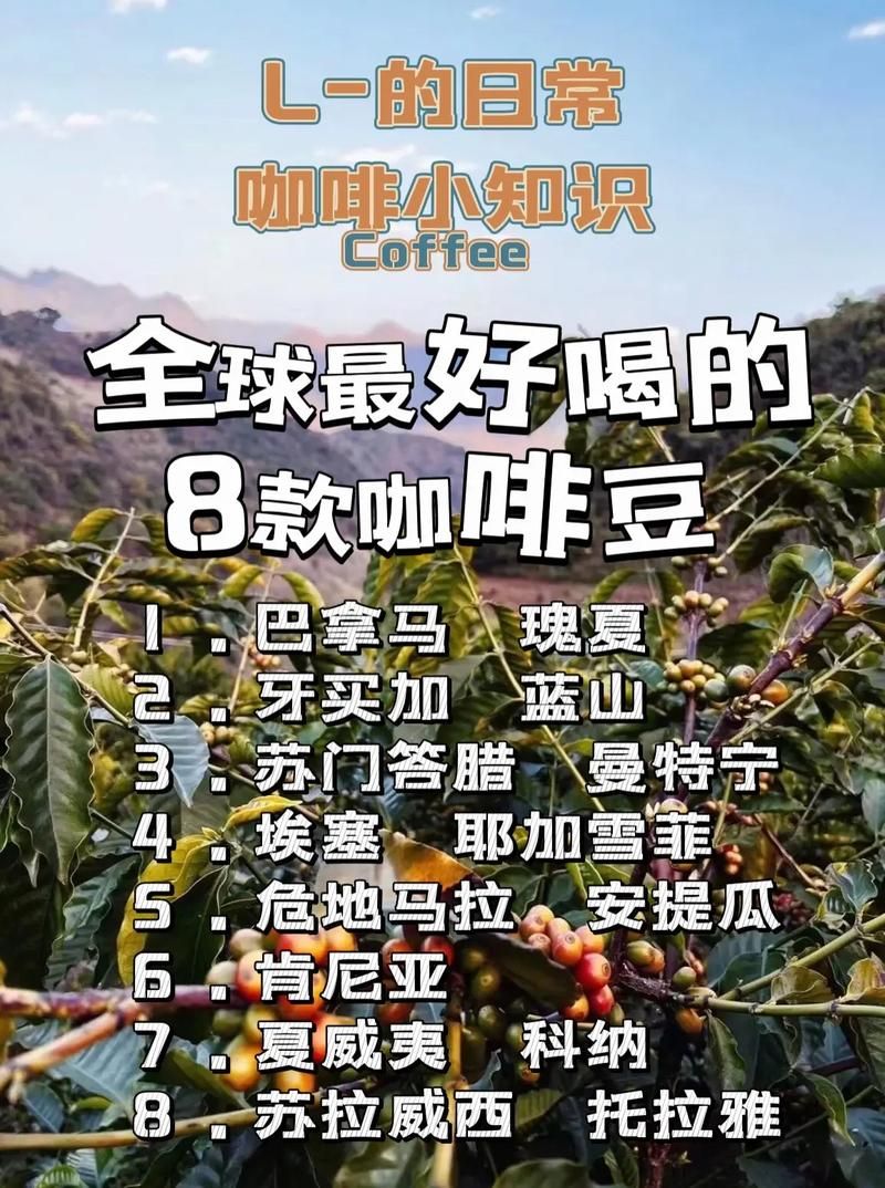 女牛仔咖啡馆最新版本是多少 快来了解新版功能