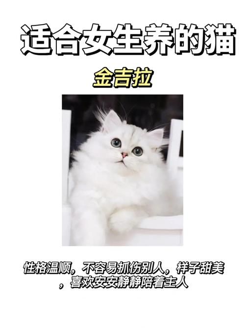 女神的奇想汉化版最新更新内容一览 快来了解新变化