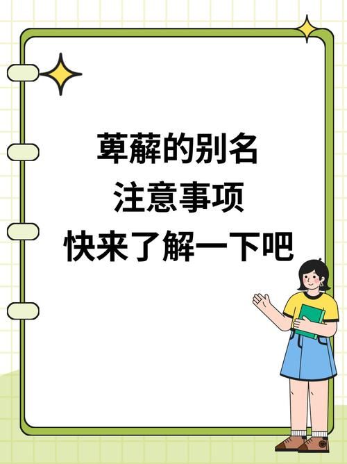 女神的奇想汉化版最新更新内容一览 快来了解新变化