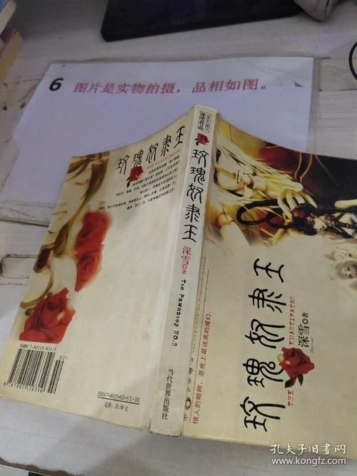 奴隶之书最新版本号查询 当前版本是多少