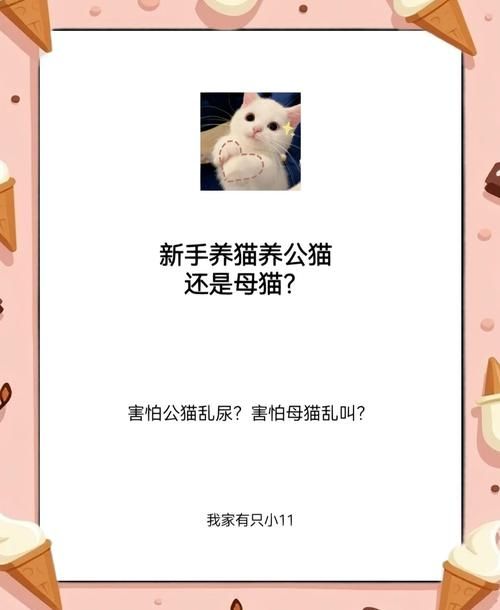 奴隶们官方网站注册流程详解及账号安全指南