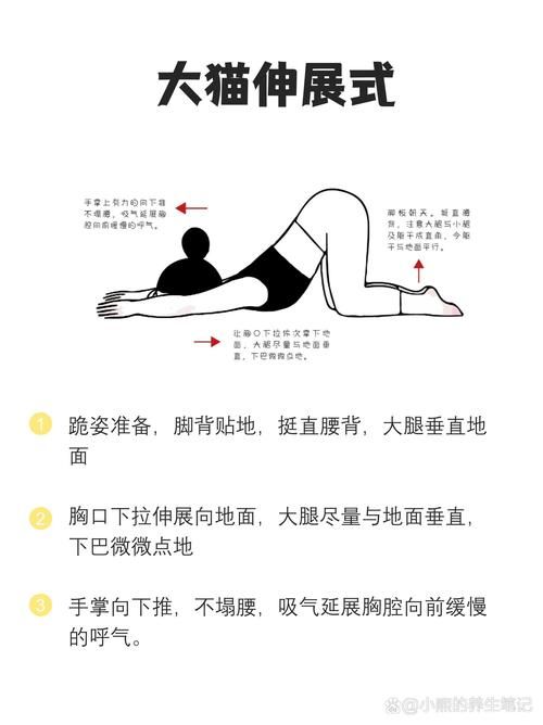 奴隶训练官网教你如何快速掌握训练技巧