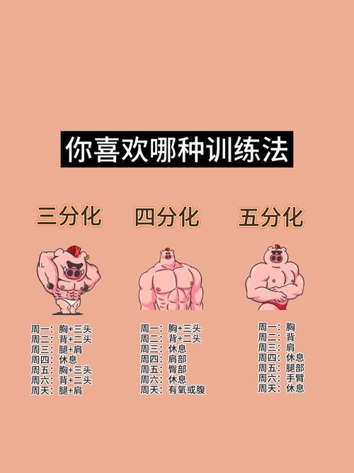 奴隶训练最新方法揭秘轻松掌握高效技巧