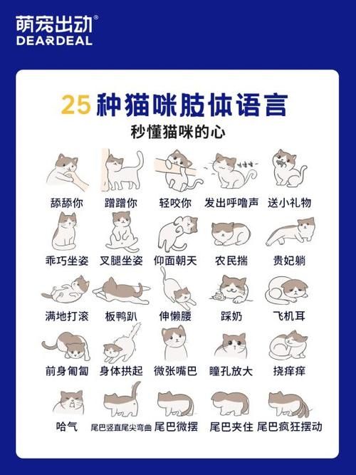 奴隶训练最新版本是多少 版本更新内容介绍