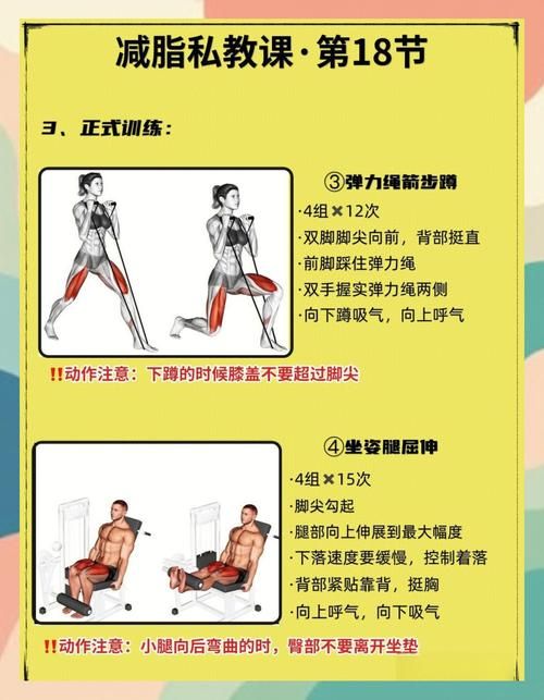 奴隶训练版本大全全面解析 帮你找到最佳训练方案