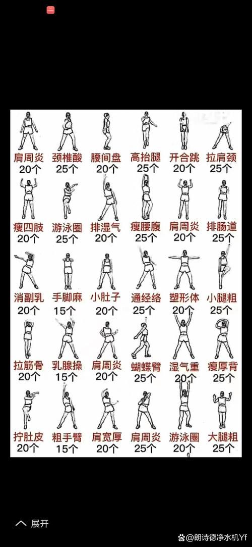 奴隶训练版本大全全面解析 帮你找到最佳训练方案