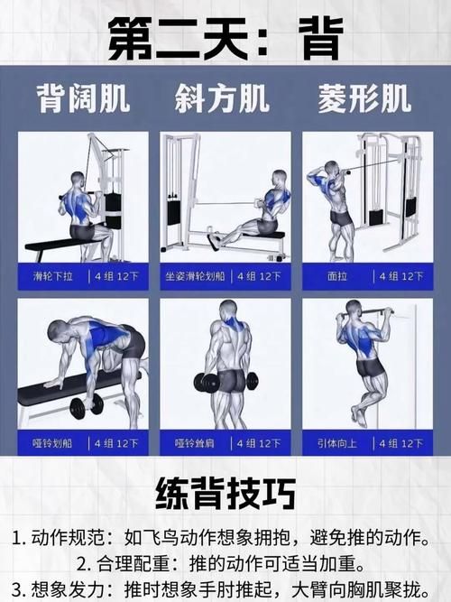 奴隶训练版本大全全面解析 帮你找到最佳训练方案
