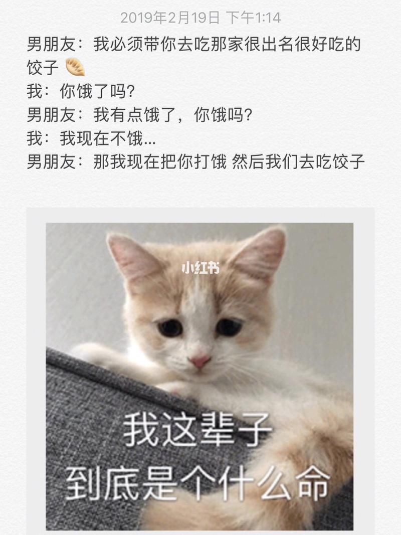 她是你的朋友吗官方正式版下载最新版手机电脑通用
