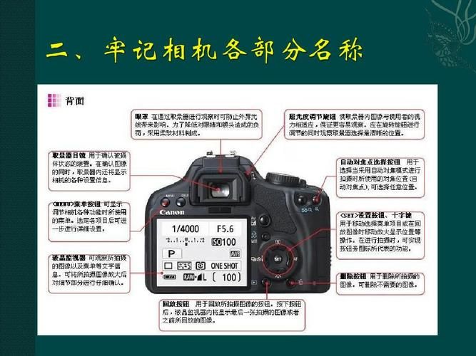她的新回忆官方网站使用教程手把手教你玩转