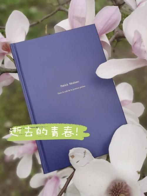 她的新回忆版本大全全部资料汇总分享