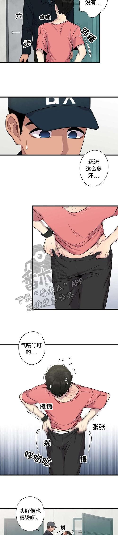 好色小姨在哪下载 免费无广告高清版获取方法
