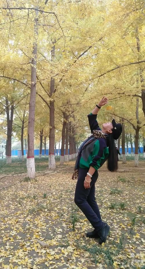 好色管家俏姐妹下载地址大全 手机电脑都能看