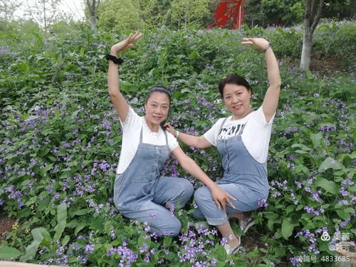 好色管家俏姐妹下载安卓 高清画质畅玩无广告