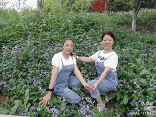 好色管家俏姐妹下载方法 手把手教你轻松获取资源