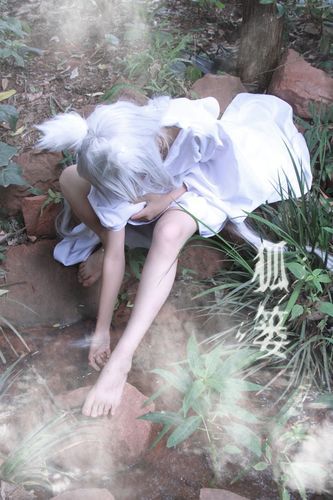 如何下载coser4官方正式版最新版 详细教程分享