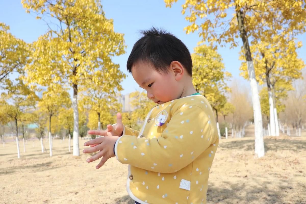 如何下载SOB亚替合集 简单步骤分享