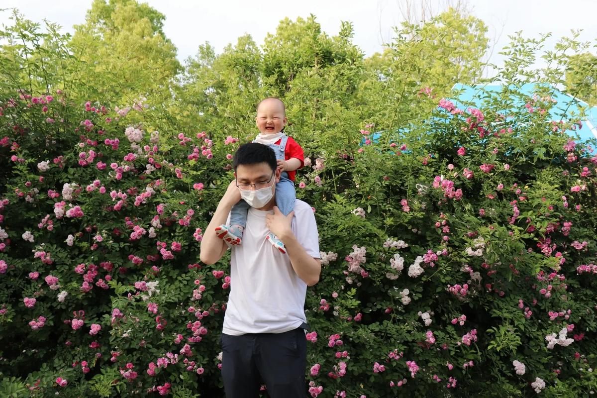 如何下载SOB亚替合集 简单步骤分享