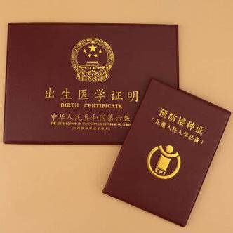 如何下载出生证明官方正式版最新版文件