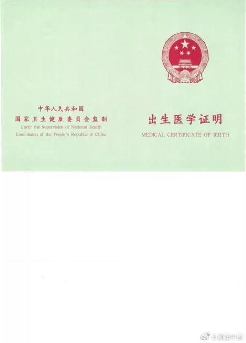 如何下载出生证明官方正式版最新版文件
