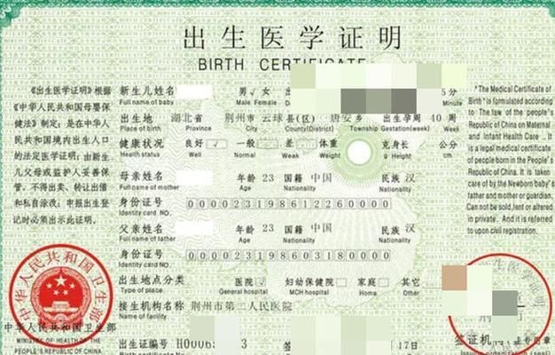 如何下载出生证明官方正式版最新版文件