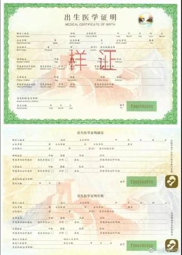 如何下载出生证明官方正式版最新版文件