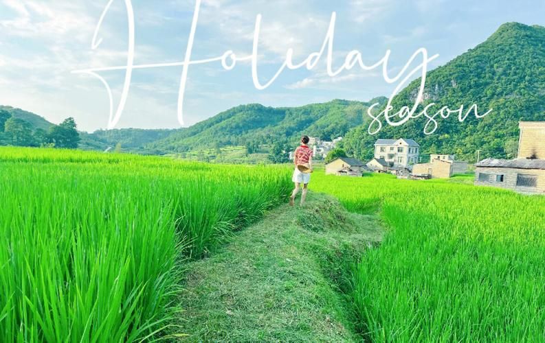 如何下载夏日的甜蜜回忆 快速保存夏日精彩瞬间