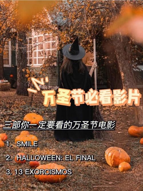 如何下载导演请拍摄各种各样的我 简单操作指南