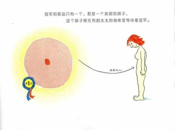 如何下载性启蒙官方正式版最新版详细教程