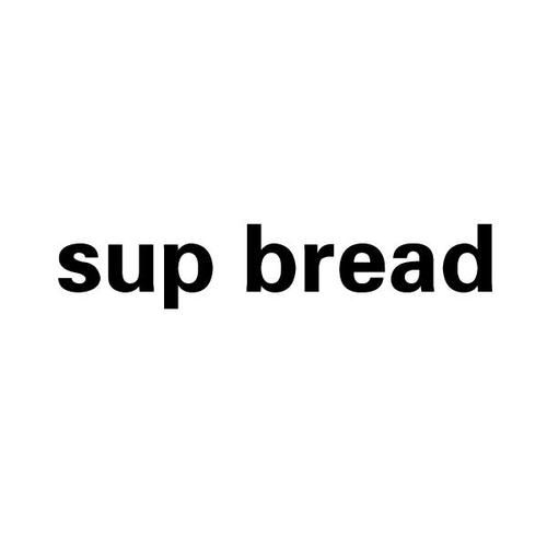 如何免费获取SUP最新版本 官方渠道安全下载