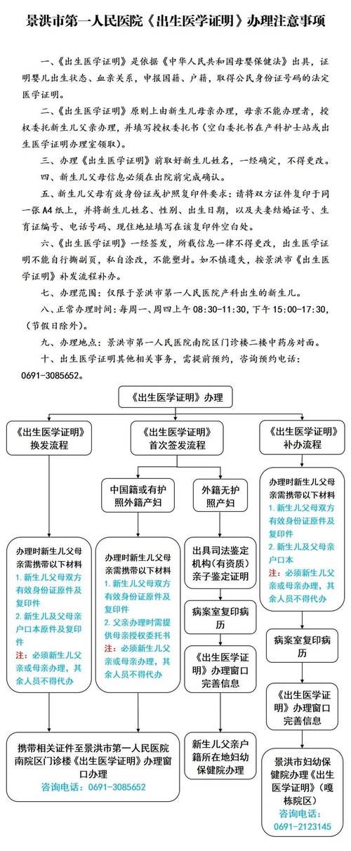 如何在线查询出生证明下载地址？详细步骤解析