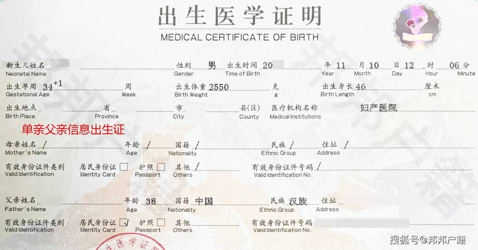 如何在线查询出生证明下载地址？详细步骤解析