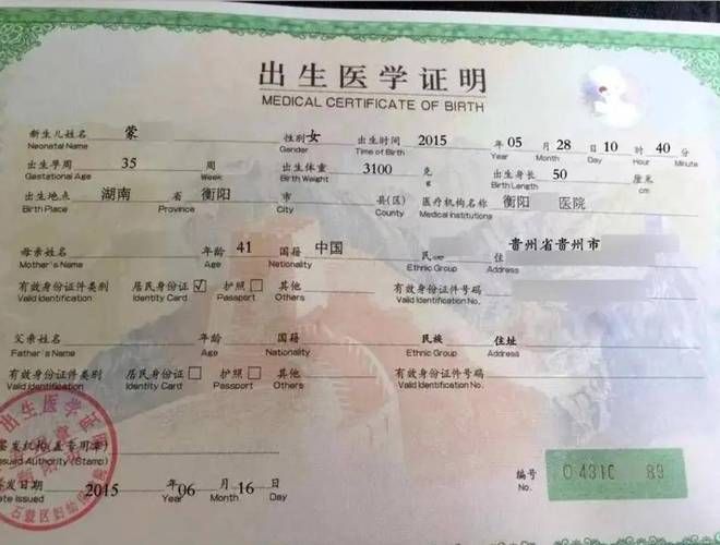 如何在线查询出生证明下载地址？详细步骤解析