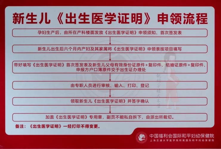 如何在线查询出生证明下载地址？详细步骤解析