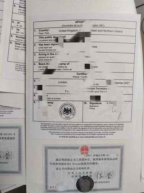 如何在线查询出生证明下载地址？详细步骤解析