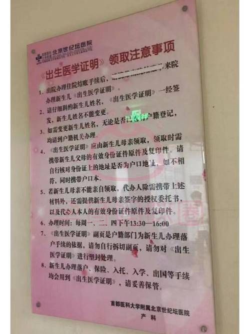 如何在线查询出生证明下载地址？详细步骤解析